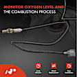 OS220C Downstream O2 Oxygen Sensor