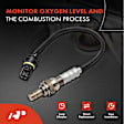 OS221 O2 Oxygen Sensor