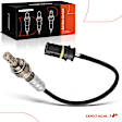 OS221 O2 Oxygen Sensor