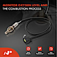 OS223 Upstream Downstream O2 Oxygen Sensor