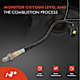 4-Pc Oxygen Sensor, Upstream & Downstream, A-Premium OS224