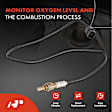 OS225C Downstream O2 Oxygen Sensor
