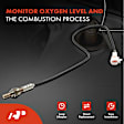 OS226 Downstream O2 Oxygen Sensor