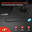 OS233C Upstream O2 Oxygen Sensor