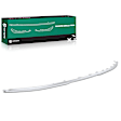 YHTBTM0074 Rear Driver or Passenger Galvano Silver Bumper Molding