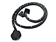 DWR 1710 69 Front, Passenger Side Door Molding and Beltlines