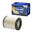 A25456 Performance Dry Air Filter PurolatorONE