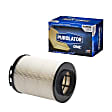 A35556 Performance Dry Air Filter PurolatorONE
