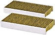 PBC15439 Cabin Air Filter Boss Series