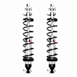 RCK52402 Coilover Spring and Shock Assembly