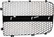 Grille Assembly, Black