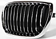 Driver Side Grille Assembly, Chrome, Grille