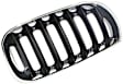 Grille Assembly, Chrome Shell With Black Insert