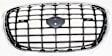 Grille Assembly, Chrome Shell with Painted Dark Gray Insert