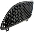 Driver Side Grille, Black, SE Model
