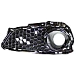Front, Driver Side Fog Light Trim, Textured Black