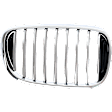 Passenger Side Grille Assembly, Grille