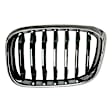 xDrive30i Driver Side Grille Chrome