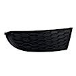 Front, Driver Side Fog Light Cover, Textured Black, CAPA Certified