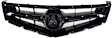 Grille, Base Model, 4 Cyl., 2.4L Engine