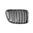 Passenger Side Grille Chrome/Titanium