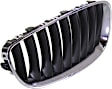 Grille Assembly, Chrome Shell With Black Insert
