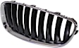 Grille Assembly, Chrome Shell With Black Insert