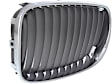 Grille Assembly, Chrome