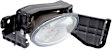 Front, Passenger Side Halogen Fog Light, With bulb(s)