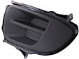 Front, Driver Side Fog Light Cover, Black