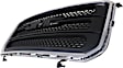 Grille Assembly, Chrome Shell with Dark Gray Insert