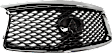 Grille Assembly, CAPA CERTIFIED
