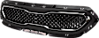 Grille, Painted Black, 4 Cyl., 1.6L Engine