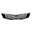 Front Grille Assembly, Grille Insert