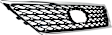 Grille, Chrome Shell with Painted Gray Insert, 8 Cyl., 4.6L Engine