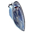 Front, Passenger Side Turn Signal Light, With bulb(s)