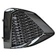 Front, Passenger Side Fog Light Cover, Black
