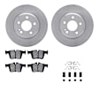 WFWH1-63187 Rear Brake Disc and Pad Kit, Plain Surface, 300 mm, Ceramic, R1 eLINE Silver Rotors with Ceramic Pads Series