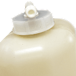 Coolant Reservoir, 6 Cylinder, 3.0L/3.5L Engine, with Cap