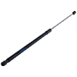 Driver or Passenger Side Hood Lift Support, Sedan