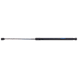 Driver or Passenger Side Hood Lift Support, Sedan