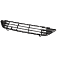 Bumper Grille, Textured Black