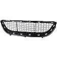 Center Bumper Grille, Black