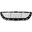 Center Bumper Grille, Black