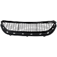 Center Bumper Grille, Black
