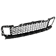 Center Bumper Grille, Black