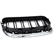 Driver Side Grille Assembly, Grille, Base Model, 8 Cyl., 4.4L Engine
