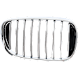 Passenger Side Grille Assembly, Grille