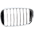 Driver Side Grille Assembly, Grille