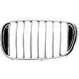 Driver Side Grille Assembly, Grille